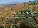 De cep en vigne